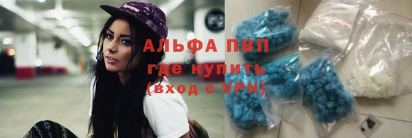 сатива Кулебаки