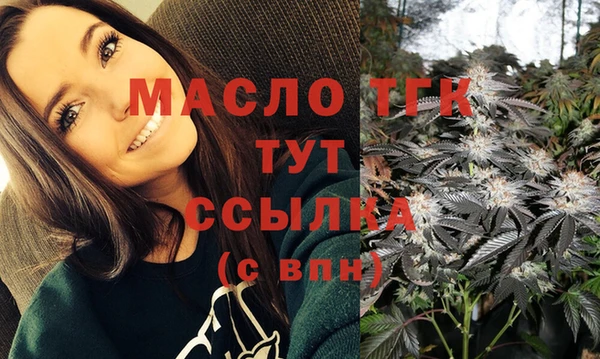 сатива Кулебаки