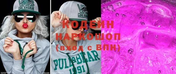 сатива Кулебаки