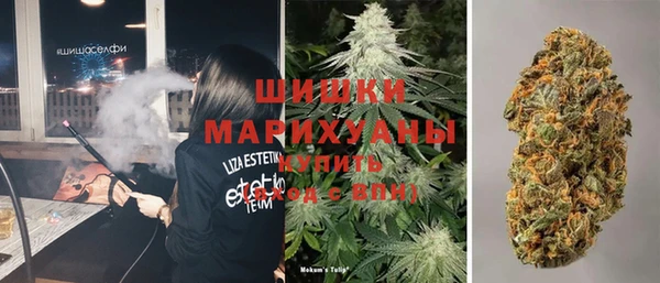сатива Кулебаки