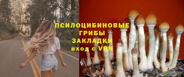 сатива Кулебаки