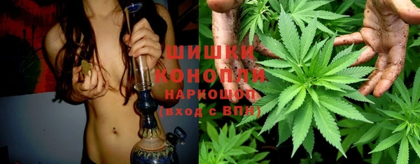 сатива Кулебаки