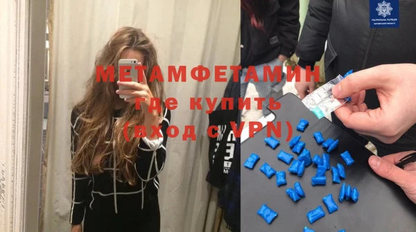 сатива Кулебаки