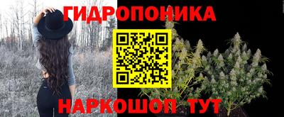 шишки Балаково