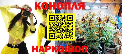 трава Бийск