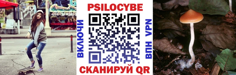 наркота Владивосток Галлюциногенные грибы Cubensis