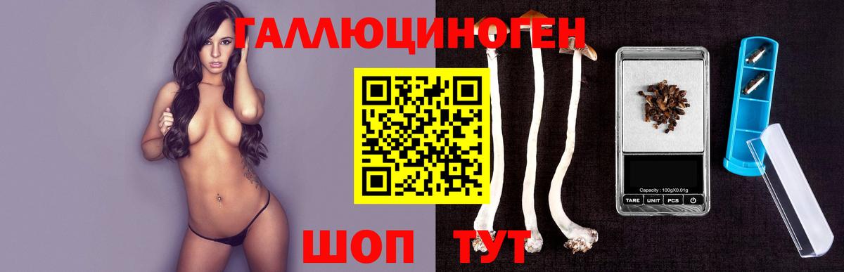 Псилоцибиновые грибы мицелий  Псилоцибиновые грибы Psilocybine cubensis  Владивосток 