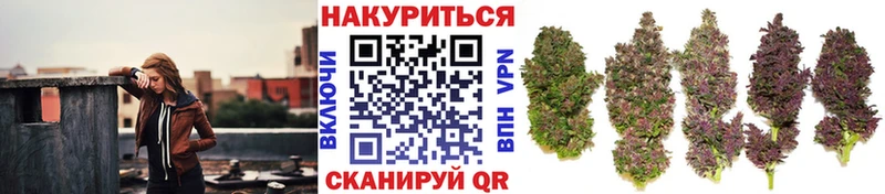 МАРИХУАНА тримм  кракен онион  Владивосток 